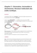 Génétique - Chromatine, chromatide et chromosome, structure des acides nucléiques