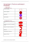 Hematologie 2: practicum pathologisch bloedbeeld - overzicht cellen