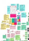 3 - Marketing Decisions Mindmap - Business Studies AQA A Level