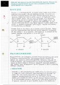 Glucose, Cellulose, Starch, Glycogen (Monosaccharide & polysaccharides) - BAC REVISION NOTES.pdf