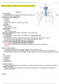 BIOS 242 Week 4 Midterm Study Guide Summer 