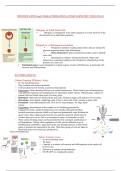 Stem Cells Week 9 Lecture Notes