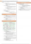 Approach to the Patient with a Heart Murmur Summary