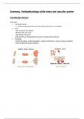 Summary pathophysiology of heart and circulation