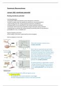 Summary neuroscience, neurophysiology