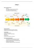 Samenvatting customer journey/consumentengedrag