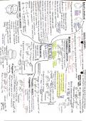 Summary Sheet of Benzene and Phenols, A-Level Chemistry