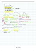 USMLE Step 1 - Endocrinology Overview