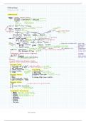 USMLE Step 1 - Embryology Overview