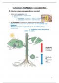 Plantkunde L5 - Ingevulde studeertips & woordenlijst