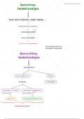 Plantkunde L5 - Schema - Bestuiving & bevruchting bedektzadigen