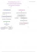 Plantkunde L5 - Schema - Ontwikkeling ♂ & ♀ voortplantingsorganen bij bedektzadigen