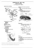 ORNITHOLOGY, BIOL 4425: TERMS TO KNOW