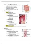 The Integumentary System