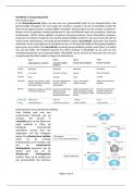 Deel 1, Hoofdstuk 5: Farmacodynamiek