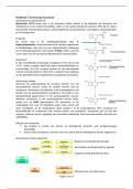 Deel 2, Hoofdstuk 4: Serotonerge transmissie