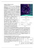 Deel 2, Hoofdstuk 1: Cholinerge transmissie