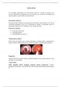 Epiglotitis, difteria y tosferina resumen 