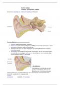 Biologie samenvatting - oor 