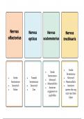 Flashcards Inleiding in de Neurochirurgie