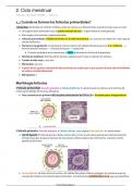 Ciclo menstrual