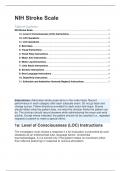  NIH Stroke Scale / NHISS  SUMMARY