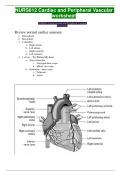 NURS 612 Cardiac and Peripheral Vascular worksheet DOWNLOAD TO SCORE BEST GRADE IN YOUR EXAMS