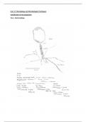 Unit 17 Assignment 1 – Distinction (Learning Aim A & B)