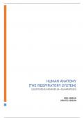 HUMAN ANATOMY (THE RESPIRATORY SYSTEM) QUESTIONS & ANSWERS (A+ GUARANTEED) 100% VERIFIED UPDATED VERSION