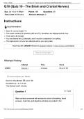 Chapter 12 (Quiz 8 - Nerve Tissue and Function) BSC 2085 Human Anatomy & Physiology