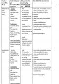 NR 546 Week 7 ADHD Medication Table
