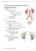 Samenvatting Functionele Anatomie Urogenitaal Stelsel