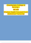 Chamberlain College of Nursing – NR 509 Shadow Health Focused Exam Abdominal PAIN Transcript