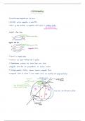 Grade 12 Physics: Unit 3 - Magnetism