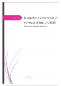 Neurokinesitherapie 2: praktijk 