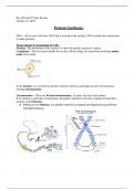 LATEST - BIO156-LAB7-PROTEIN SYNTHESIS - (2018-2024)