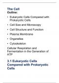 Biology 140 Chapter 3: The Cell