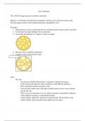 BIOD 171 Lab 5 notebook Testing bacteria for antibiotic sensitivity Portage 2023