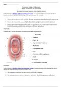 Gross and Microscopic Anatomy of the Digestive System