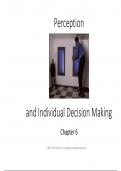 Foundations of Group Behavior, Perception and Individual Decision Making