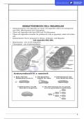  Role of mitochondria in living cell | MCAT Notes | UCAT notes | COMPLETE CLASS NOTES : All Concepts, Tricks & PYQs | NEET | MDCAT | MCAT| 11 & 12  BIOLOGY with 50 quiz