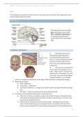 Lecture notes PSYC1009A (Semester 2, Block 3) - Biological and Cognitive Psychology