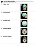 Bio 201 Lab Exam 2 GCU