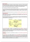 Carbohidratos eh el cuerpo humano