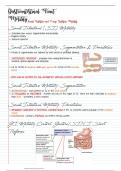 Motility of the Small and Large Intestines 