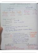 Notes On WBC and Platelets.