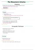 19. mesenteric arteries (vascular ultrasound)