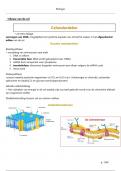  Samenvatting biologie derde graad examencommissie