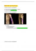 BIO252FINALSTUDYGUIDE.