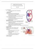 Samenvatting Anatomie (Hoorcollege)